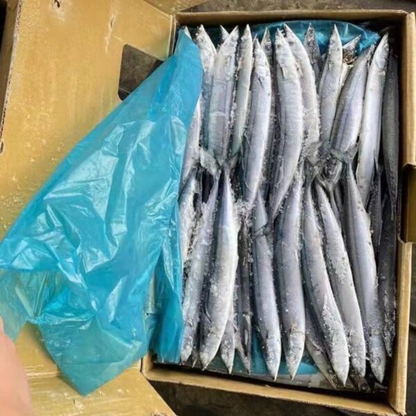 秋刀魚：圖片 3