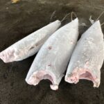 細鱗油甘-01