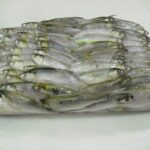 虱目魚-01
