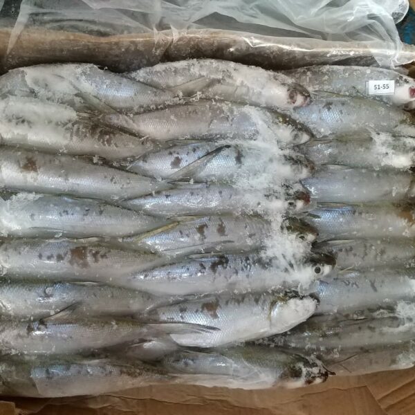 虱目魚：圖片 3