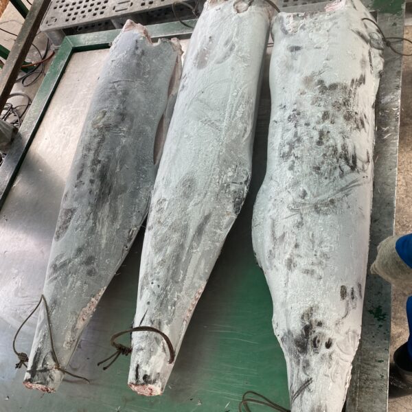 黑旗：圖片 2
